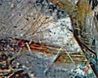 /album/galerie-photos/formigal-rutile-dans-quartz-7707-mod1-jpg1/